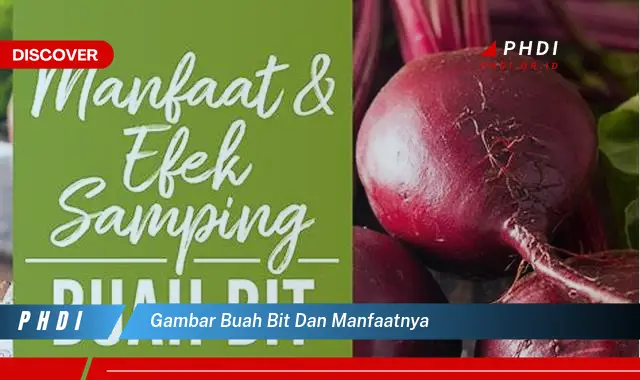 Temukan Manfaat Gambar Buah Bit yang Bikin Kamu Penasaran