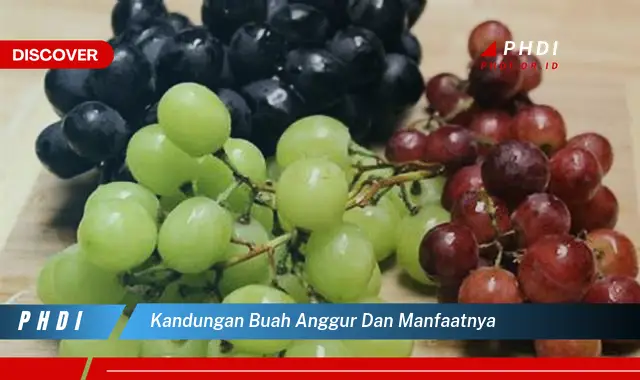 kandungan buah anggur dan manfaatnya