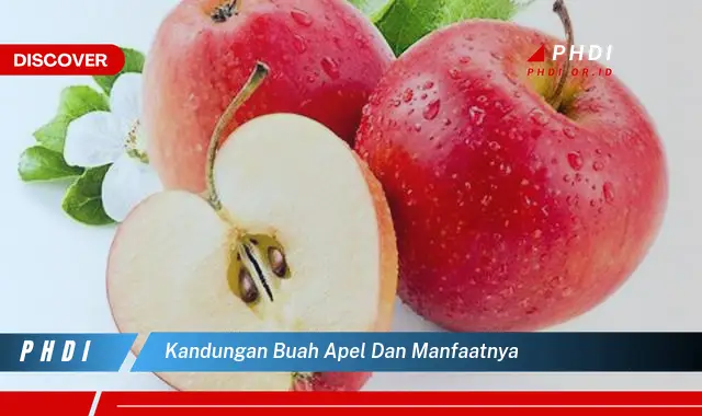 kandungan buah apel dan manfaatnya