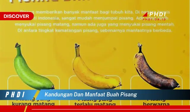 kandungan dan manfaat buah pisang