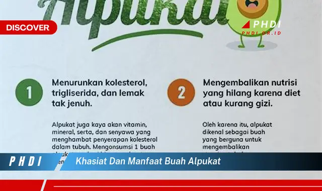 khasiat dan manfaat buah alpukat