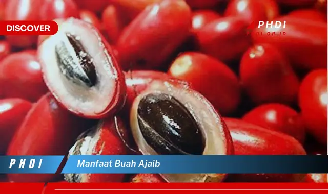 manfaat buah ajaib