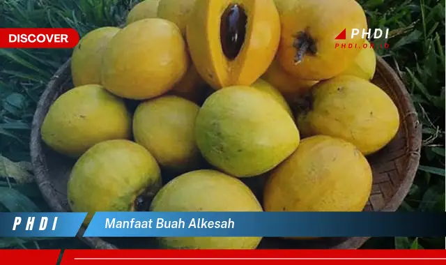 manfaat buah alkesah