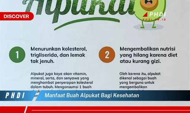 manfaat buah alpukat bagi kesehatan