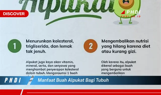 manfaat buah alpukat bagi tubuh