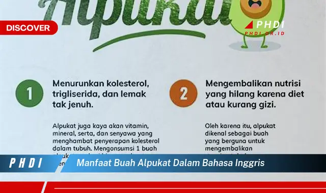 manfaat buah alpukat dalam bahasa inggris