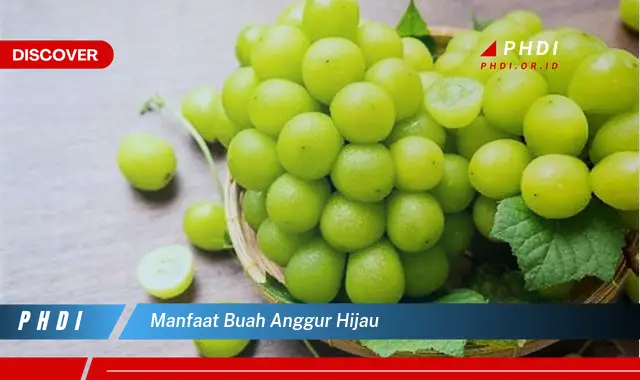 manfaat buah anggur hijau