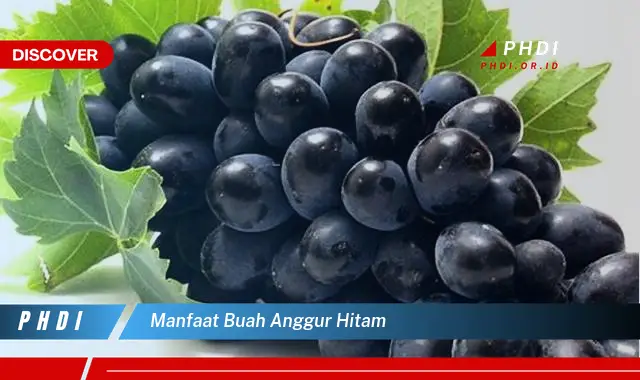 manfaat buah anggur hitam