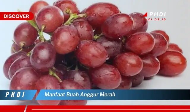 manfaat buah anggur merah