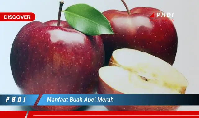 manfaat buah apel merah