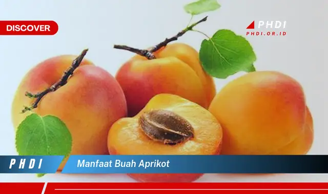 manfaat buah aprikot