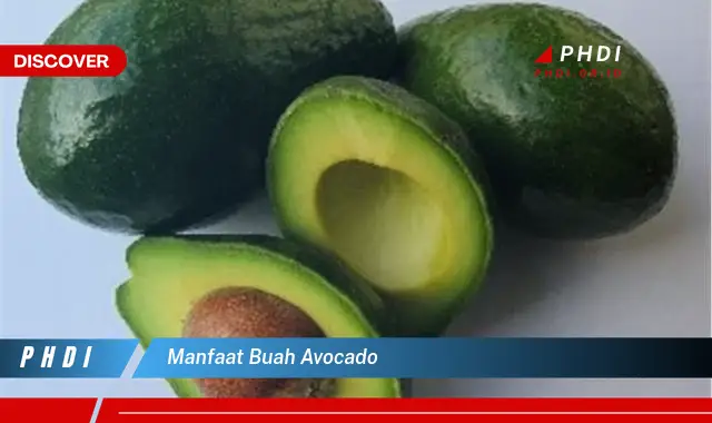 manfaat buah avocado