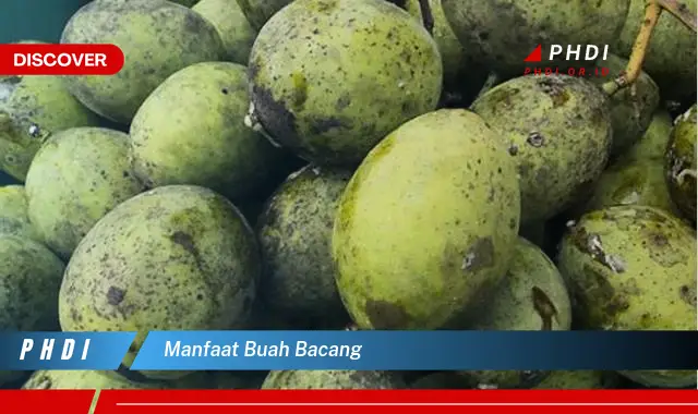 manfaat buah bacang