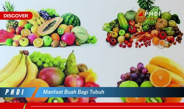 Temukan 7 Manfaat Buah yang Jarang Diketahui untuk Kesehatan Tubuhmu