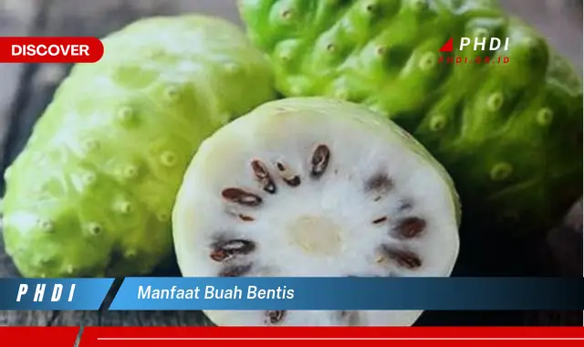 manfaat buah bentis