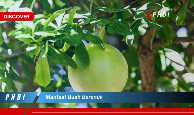 manfaat buah berenuk