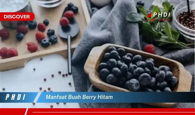 manfaat buah berry hitam