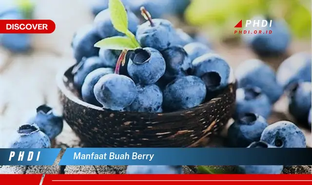 manfaat buah berry