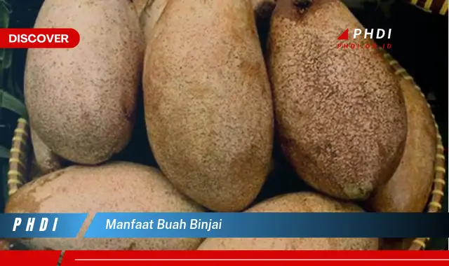 manfaat buah binjai