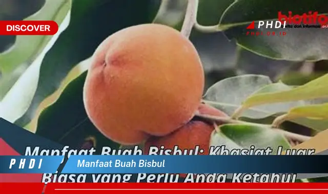 manfaat buah bisbul