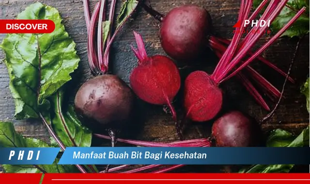 manfaat buah bit bagi kesehatan