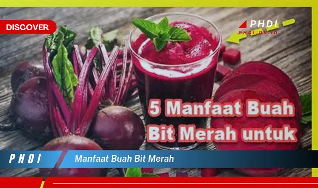 manfaat buah bit merah