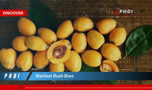 manfaat buah biwa