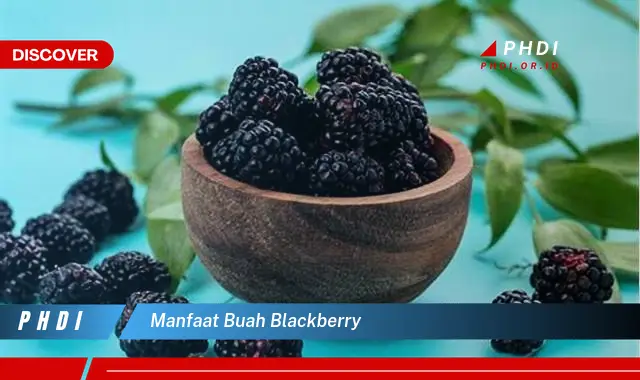 manfaat buah blackberry