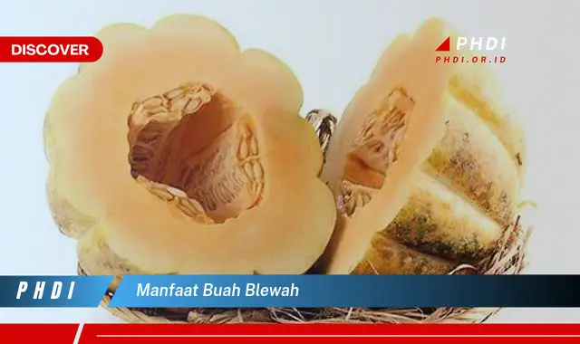 manfaat buah blewah