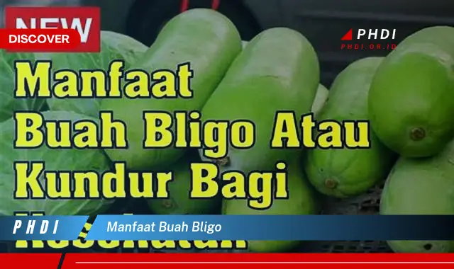 manfaat buah bligo