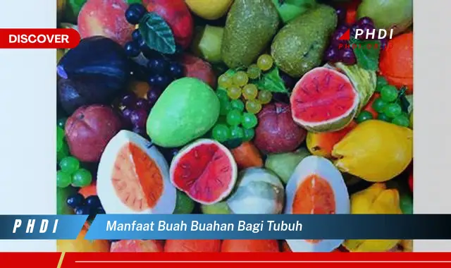 Ketahui 7 Manfaat Buah-buahan Bagi Tubuh yang Jarang Diketahui