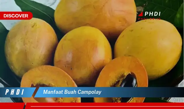 manfaat buah campolay