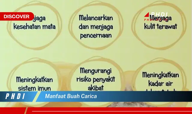 manfaat buah carica