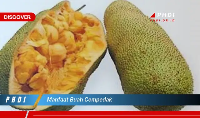 manfaat buah cempedak