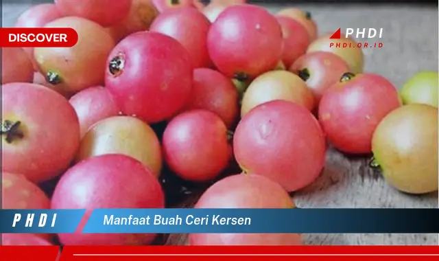 manfaat buah ceri kersen