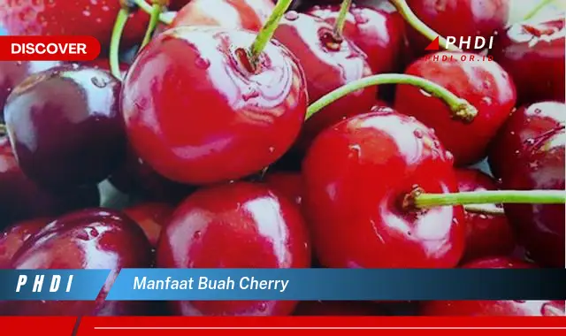 manfaat buah cherry