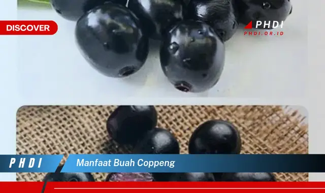 manfaat buah coppeng