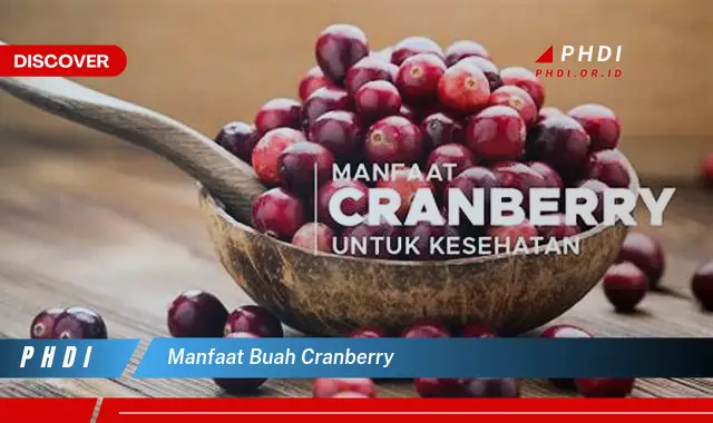 manfaat buah cranberry