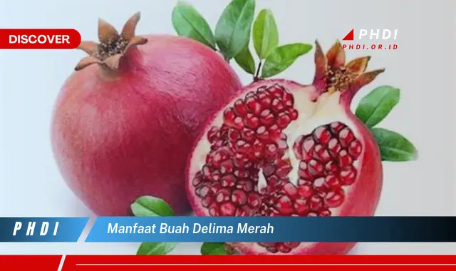 manfaat buah delima merah