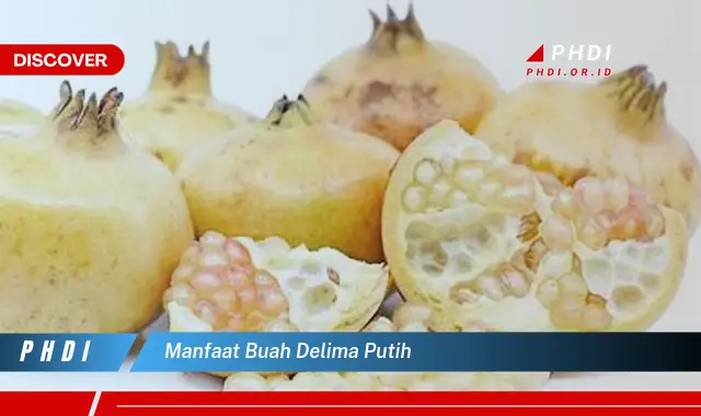 manfaat buah delima putih