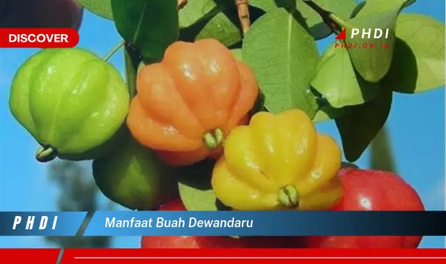 manfaat buah dewandaru