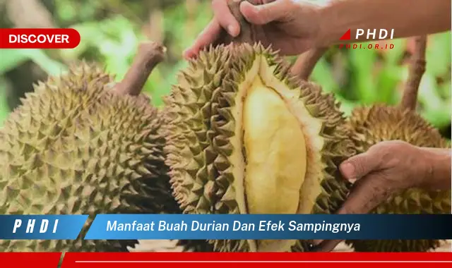 manfaat buah durian dan efek sampingnya