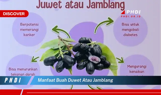 manfaat buah duwet atau jamblang