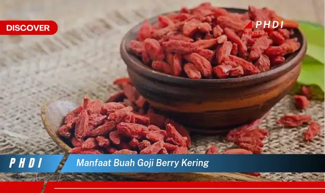 manfaat buah goji berry kering