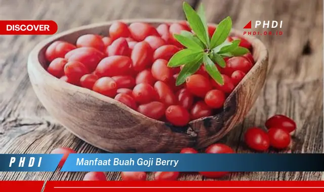 manfaat buah goji berry