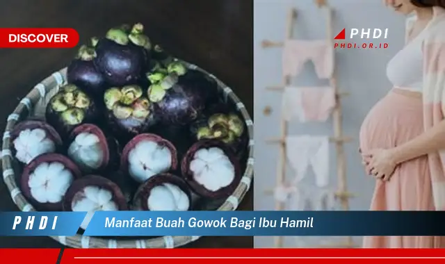 manfaat buah gowok bagi ibu hamil