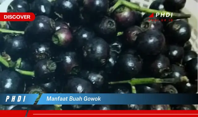 manfaat buah gowok