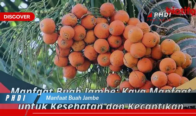 manfaat buah jambe