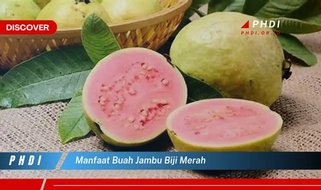 manfaat buah jambu biji merah