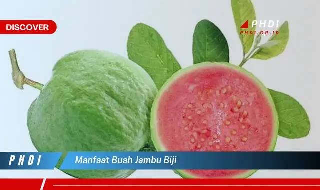 manfaat buah jambu biji